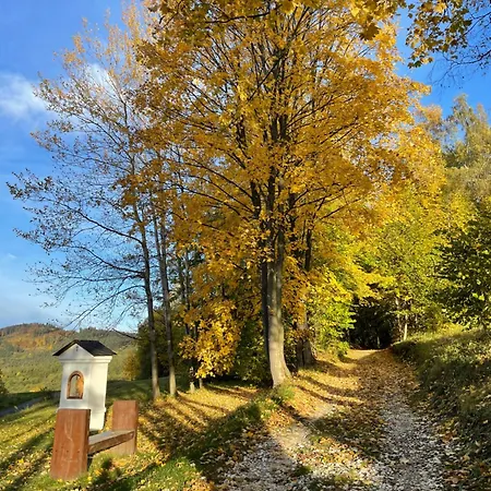 Challet44 * Jeseník